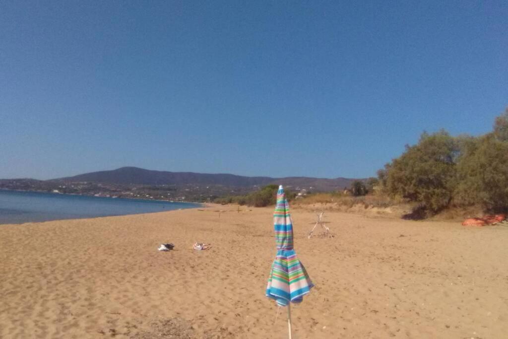 Ueber Den Daechern Von Koroni Zewnętrze zdjęcie